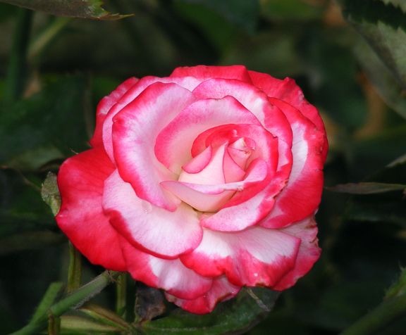 Double Take photo dt2013_06270014_zps7ae7d156.jpg